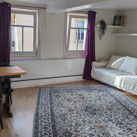Lovely Oldtown-Appartment Bad Homburg vor der Höhe Zewnętrze zdjęcie